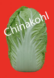 Ausstellung: Chinakohl